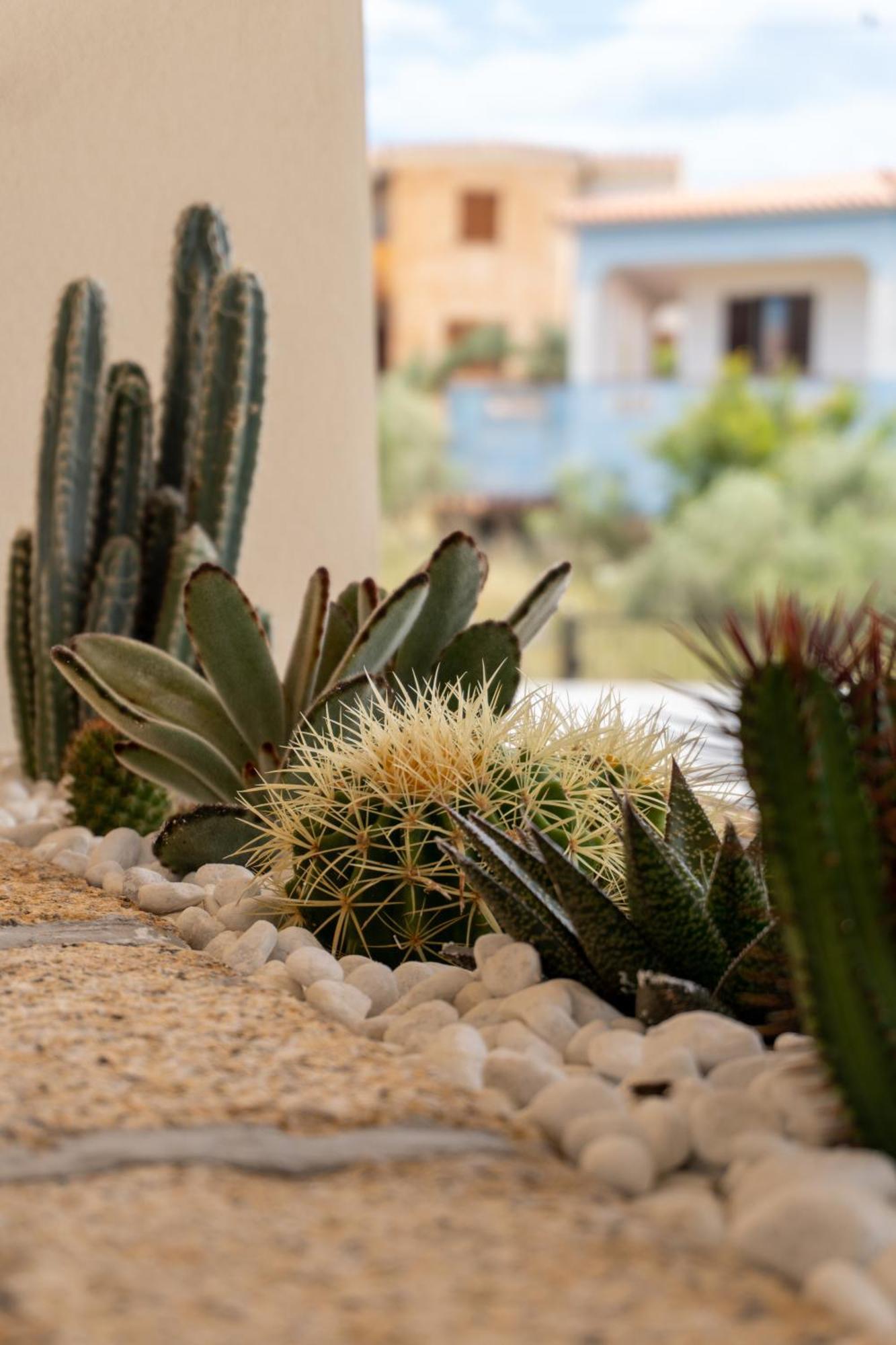 Dicciosu Guest House Budoni Exterior photo